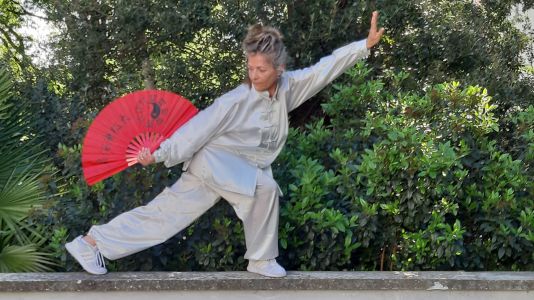 tai chi chuan 1