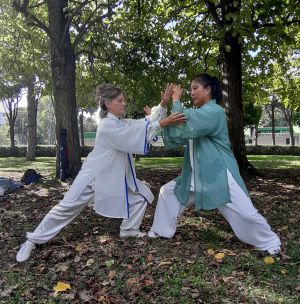 tai chi chuan 6