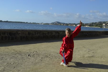 tai chi chuan 9