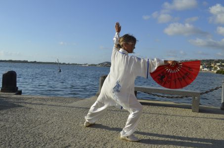 tai chi chuan 10