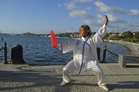 tai chi chuan 11