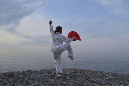 tai chi chuan 4